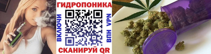 Где купить Пушкино Конопля  Меф мяу мяу  A PVP  АМФЕТАМИН  MDMA  Гашиш  Cocaine 