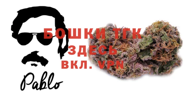 гидра Магас