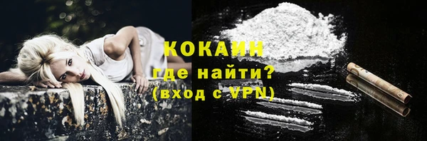 гидра Магас