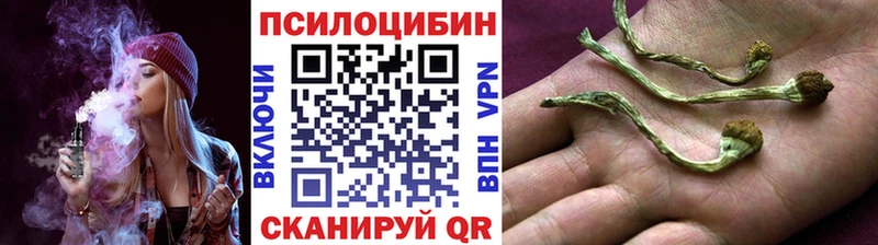 blacksprut зеркало  Пушкино  Псилоцибиновые грибы мицелий 