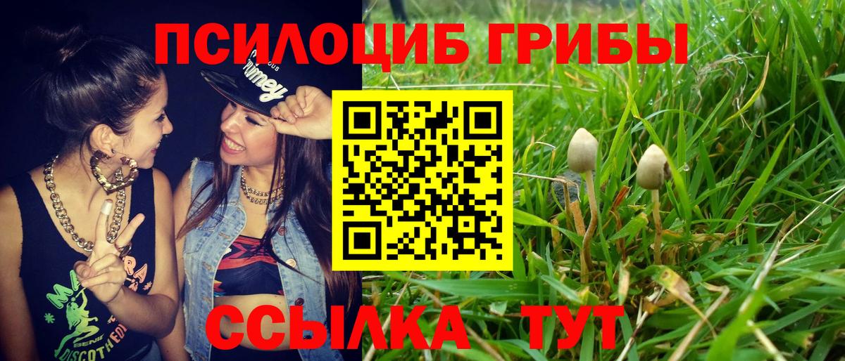 Галлюциногенные грибы мицелий Пушкино